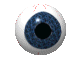 I Got My Eye On You!